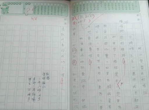 超勵志!他小學作文就立志為國家出國比賽 如今當選經典賽國手