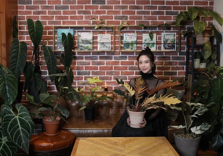 張景嵐懷中抱的是斑葉神鋸蔓綠絨。陳明中攝