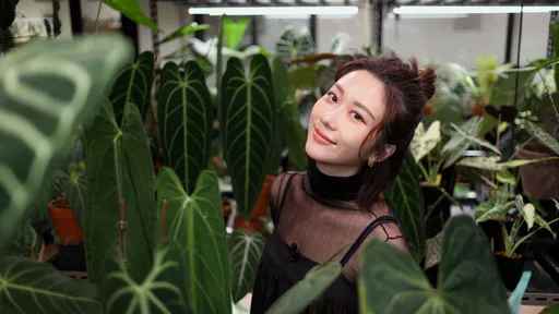 專訪|張景嵐掉入觀葉植物坑 愛到改裝浴室變溫室