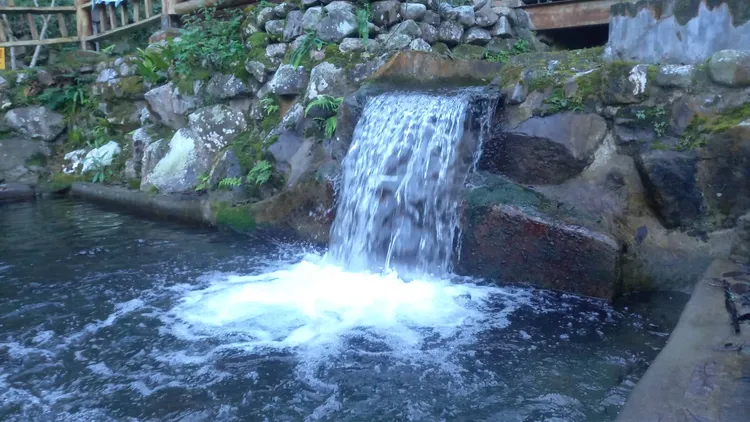 來自八仙山脈無汙染的水源，是養殖鱒魚最大的功臣。李陳信得攝