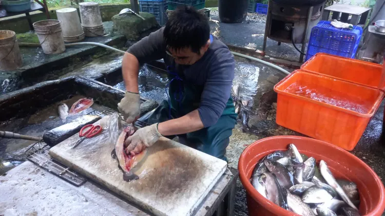老闆切魚清除內臟手法非常俐落只需十秒便可完成。李陳信得攝