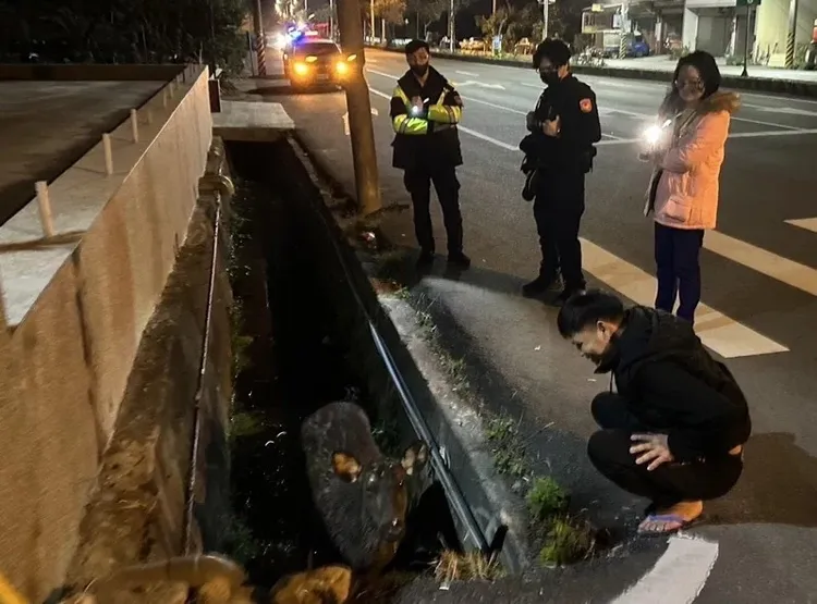 高姓警員（中間站立者）前一日上班時，還與同事一起處理案件。翻攝畫面