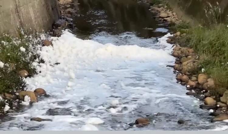 現場宛如下雪。楊朝偉提供