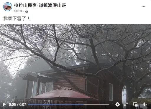 寒流來過年!桃園拉拉山飄瑞雪 網興奮:我家下雪了