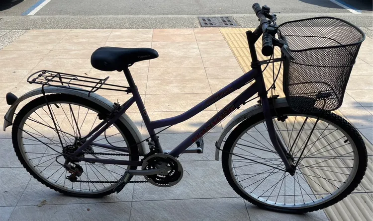 謝姓慣竊所偷的腳踏車。讀者提供