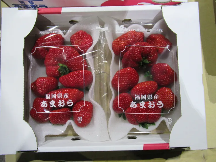 今公布2件日本草莓違規。食藥署提供