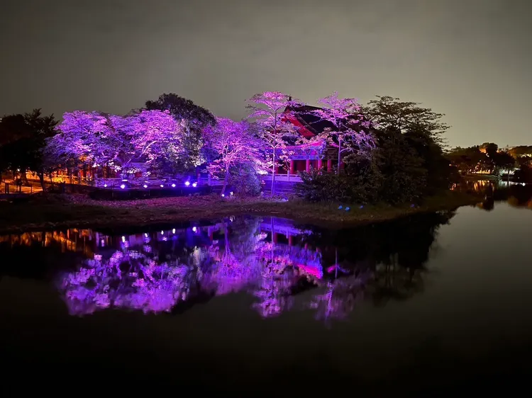 蓮潭燈會燈飾作品「光織湖影」。觀光局提供