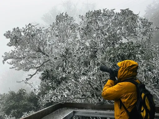 新竹尖石下雪了 雪花繽紛冰凍山頭