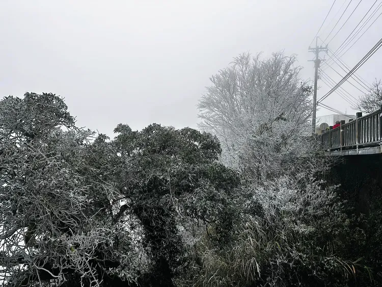 新竹尖石鄉宇老部落一間咖啡業者，今早7時許拍下白雪繽紛冰凍山頭的照片分享在粉絲頁。翻攝《綠木頭》粉絲頁