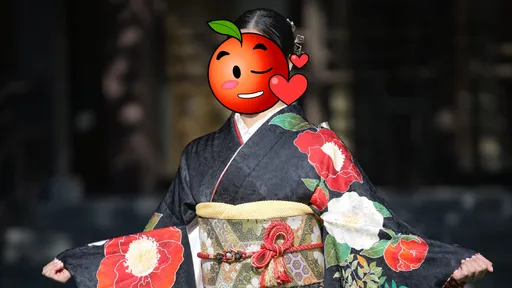 爭最美星二代!貴乃花女兒出道就卡位新節目 甜笑「沒靠爸」