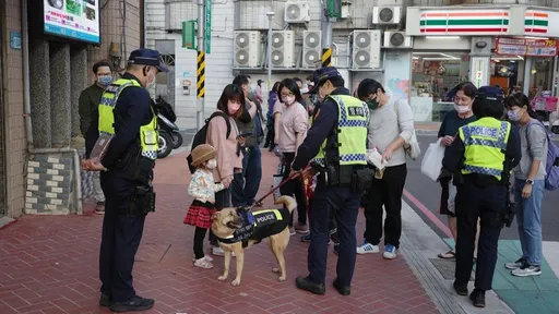 警犬「平安」化身交安大使 進駐鶯歌老街宣導交通安全