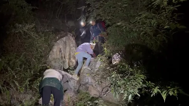 2大2小迷路登山客在搜救人員引導下順利下山。民眾提供