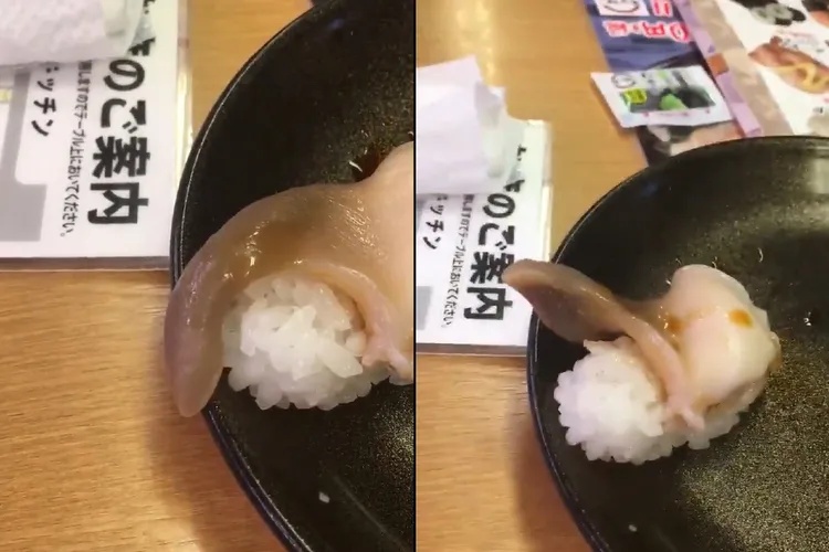 迴轉壽司上的貝肉還在蠕動。取自推特@mg2b5