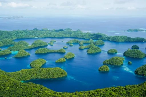 遊帛琉100美金賺起來！這些地方非玩不可