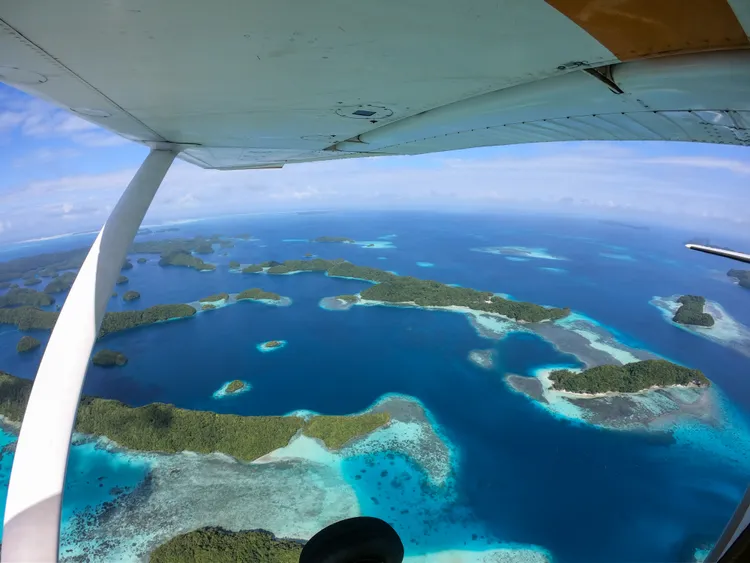 從空中俯瞰帛琉，風景美不勝收。田欣雲攝