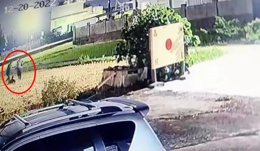 偷米行200萬遭「鐵鎚私刑」打到腦死　家屬控警沒阻止！分局不忍了說出真相