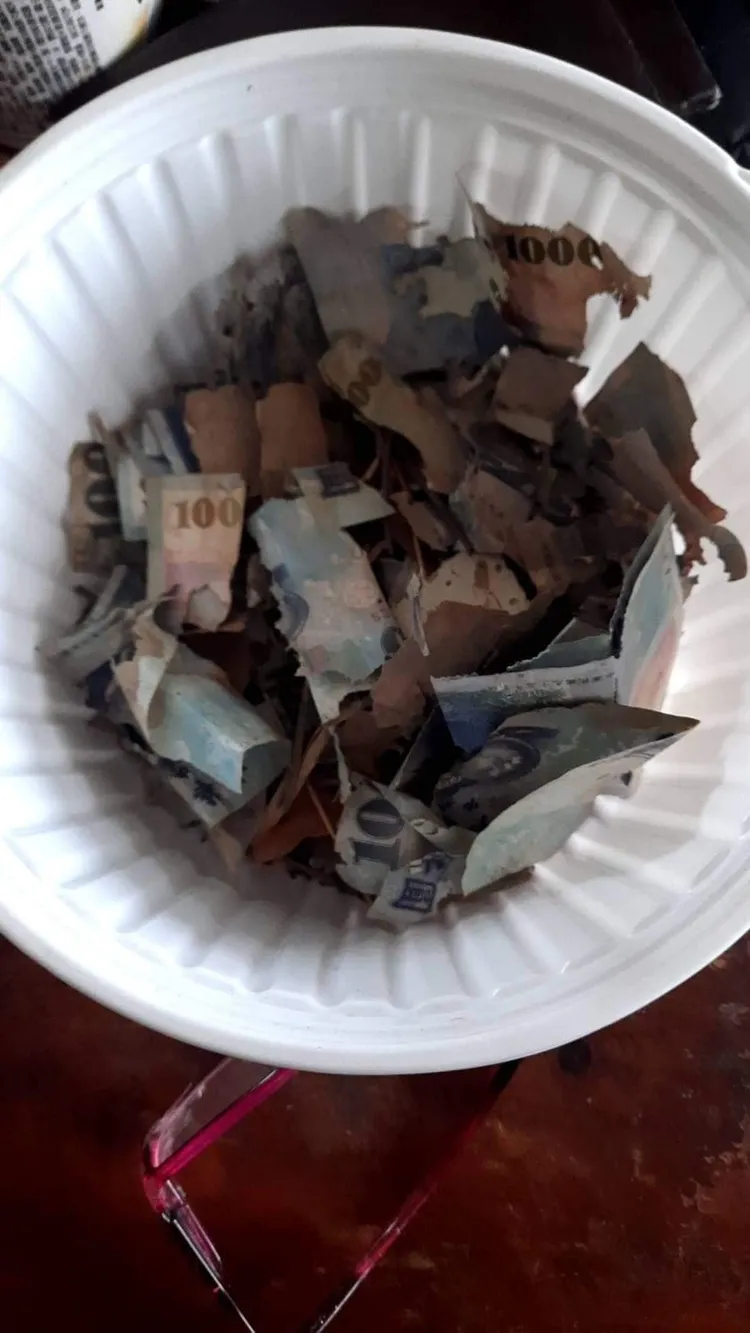 將近1萬8千元的鈔票全碎了。翻攝爆笑公社
