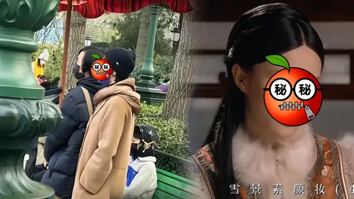 迪士尼捕獲一線女星「神秘VIP區」溜娃！　天價會費曝光網驚：是我2年薪