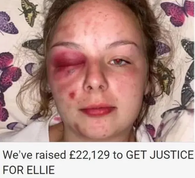 伊蓮娜透過網路募款，募得2萬2129英鎊（約台幣82.8萬元）。翻攝Facebook/ Eleanor Williams