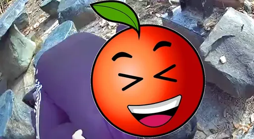 高雄壽山驚見「火雲邪神」趴地練蛤蟆功　警察來了結局超展開