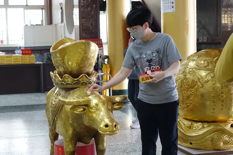 金牛身上滿滿的金箔都是來此參拜的信眾貼的。羅琦文攝