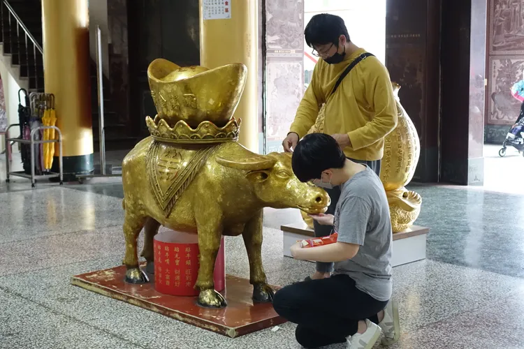 信眾在金牛身上貼金箔。羅琦文攝