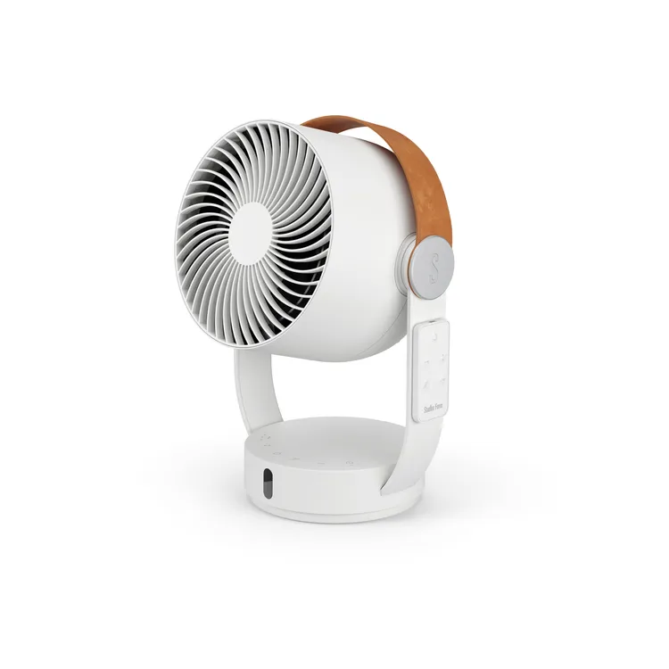 漢神百貨福袋的獎項、來思比循環扇。業者提供