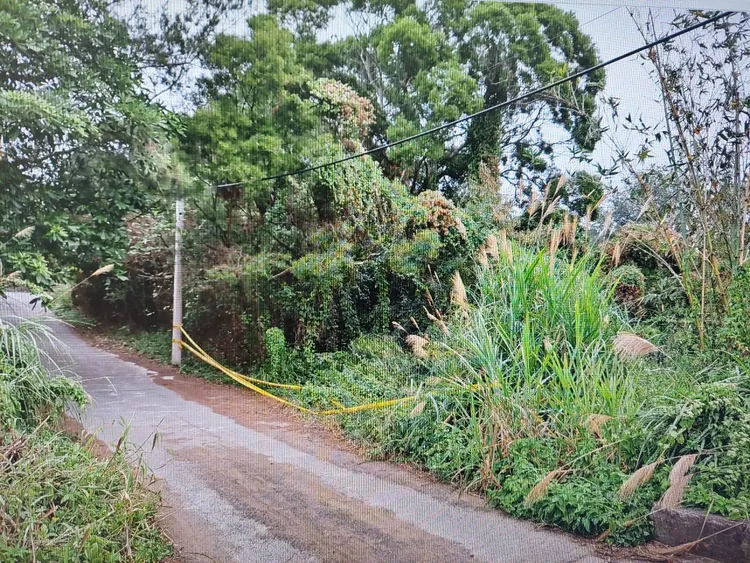 一名警察因尿急，走到偏僻山區想小解時，赫然發現一座奇怪的土堆，沒想到撥開土堆，竟發現死者的腳。翻攝畫面