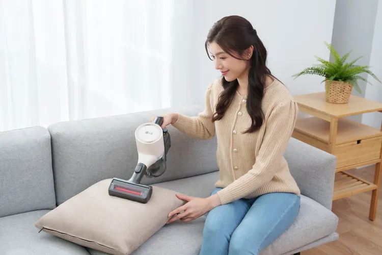 LG A9 TS附有毛髮專用吸頭，可清潔卡在沙發、寢具上的寵物細毛及頭髮。業者提供