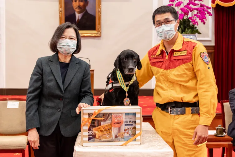 蔡英文準備禮物給搜救犬。總統府提供
