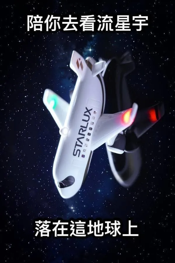 取自星宇航空套牢自救會臉書。