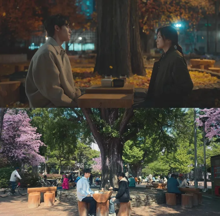 宋慧喬劇中在公園大樹前向李到晛學圍棋。翻攝Netflix