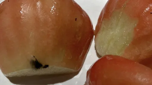 發霉了?連鎖火鍋店蓮霧冒黑點 高雄衛生局抽驗後說話了
