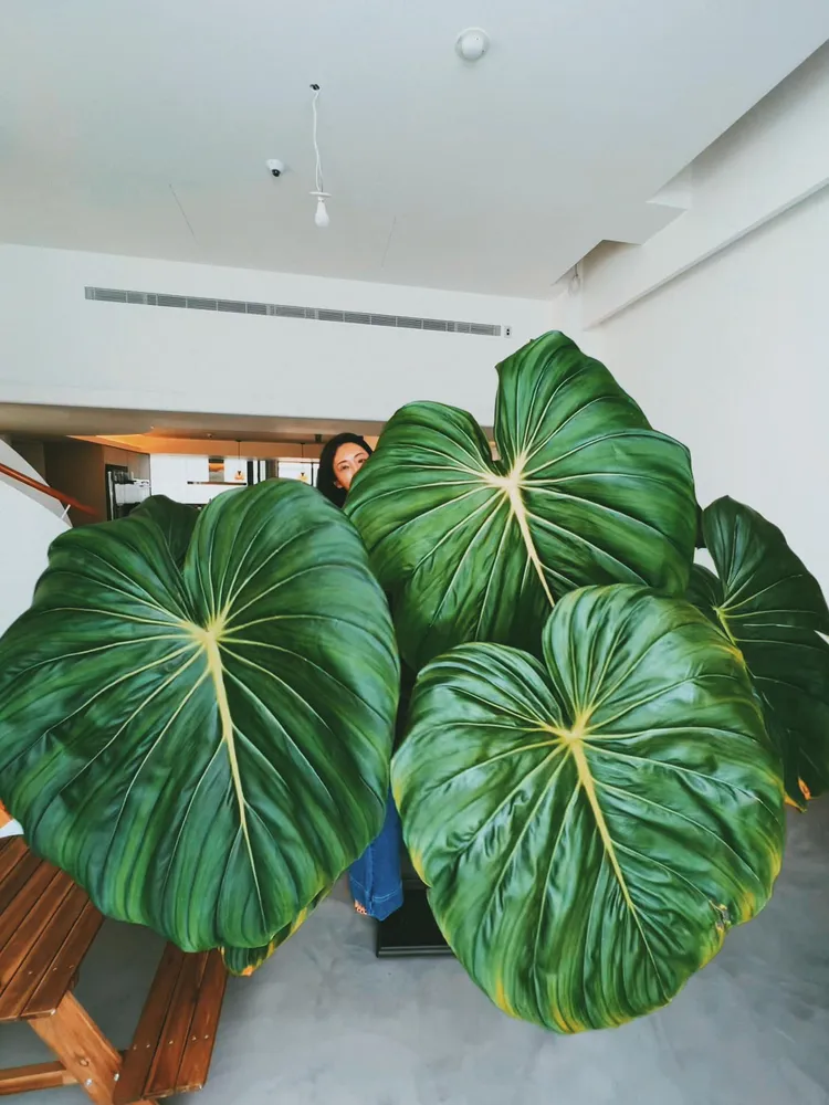 隋棠家中畫面。翻攝自隋棠臉書