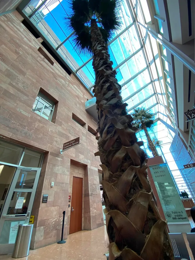 錢韋杉到法院繳罰款。翻攝錢韋杉臉書