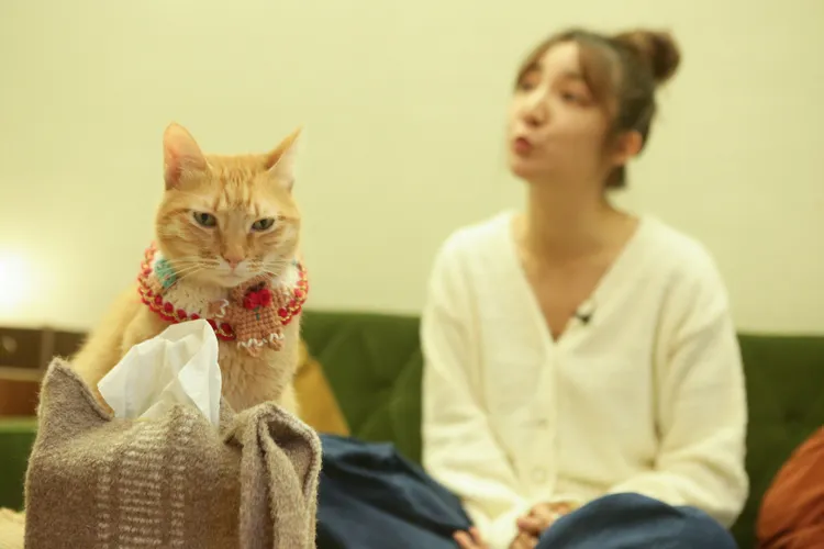 叮叮（左）這天很乖，但高雋雅說是假乖。朱世閎攝