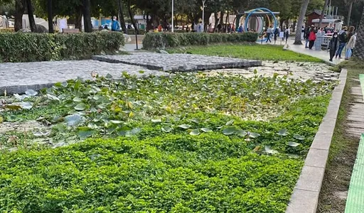 美女議員批高雄燈會缺失　蓮藕池佯裝成草皮！直呼不小心就下去洗澡