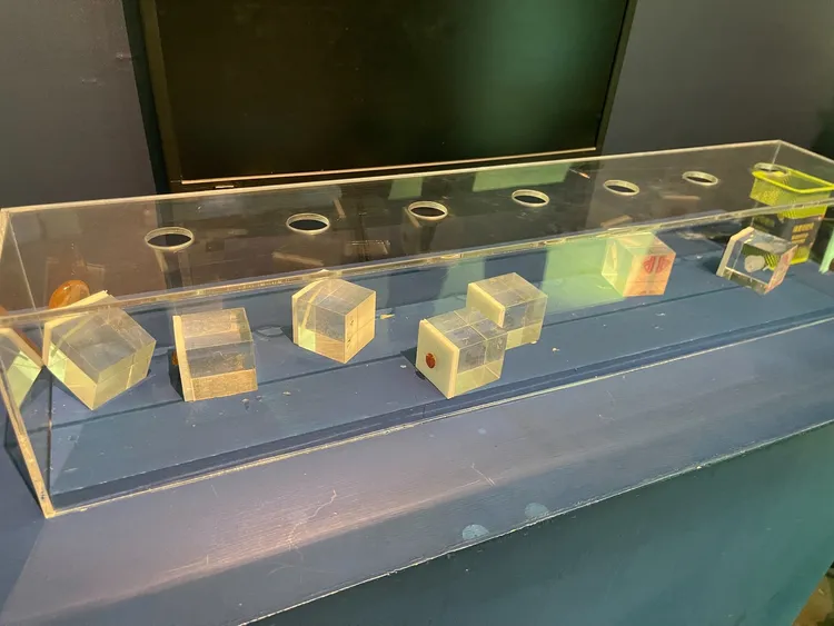 琥珀展櫃也因為遊客奔跑撞到，導致內容展品全倒。取自台南左鎮化石園區