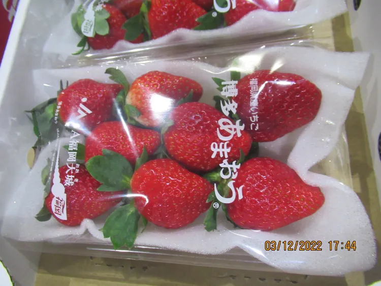 食藥署目前對日本進口草莓維持100%逐批查驗。資料照，食藥署提供