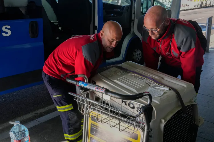 西班牙。美聯社