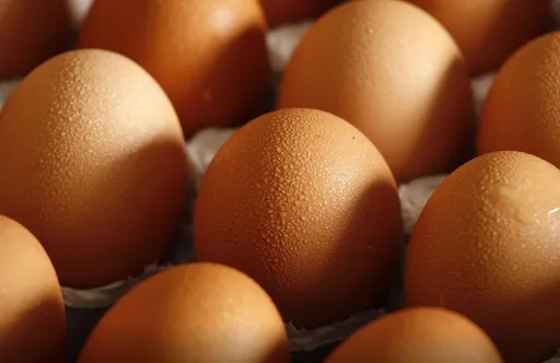 央行示警全球經濟4風險　通膨仍有升溫可能