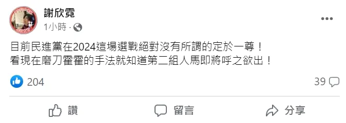 前綠委謝欣霓認為,總統大位將有其他人馬呼之欲出。翻攝謝欣霓臉書