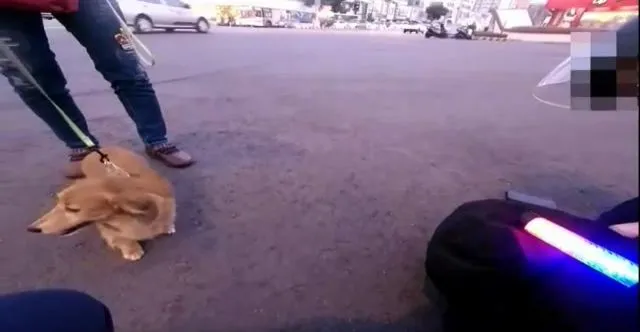 王姓當時牽狗過馬路，突然癲癇發作路倒。民眾提供