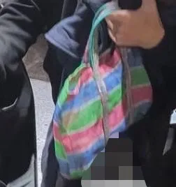 警方在少年隨身帶的「阿嬤的LV包」中，發現多款拆卸板模的工具。讀者提供