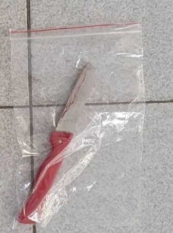 詹男昨晚以這把水果刀恐嚇女子到超商領錢。讀者提供