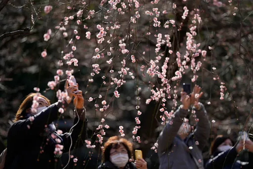 日本1月外國客150萬　台灣25.9萬居次僅輸「這一國」
