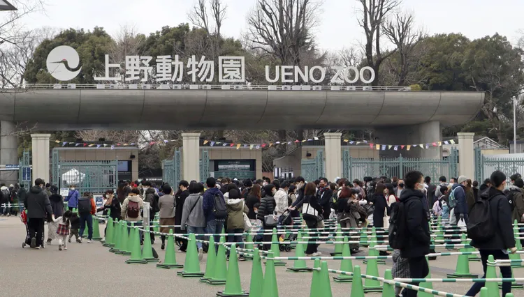 民眾在上野動物園外排隊入園。美聯社