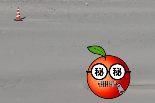 日本海灘赫現神秘「哥吉拉蛋」！官方大動作處理　專家：尷尬了