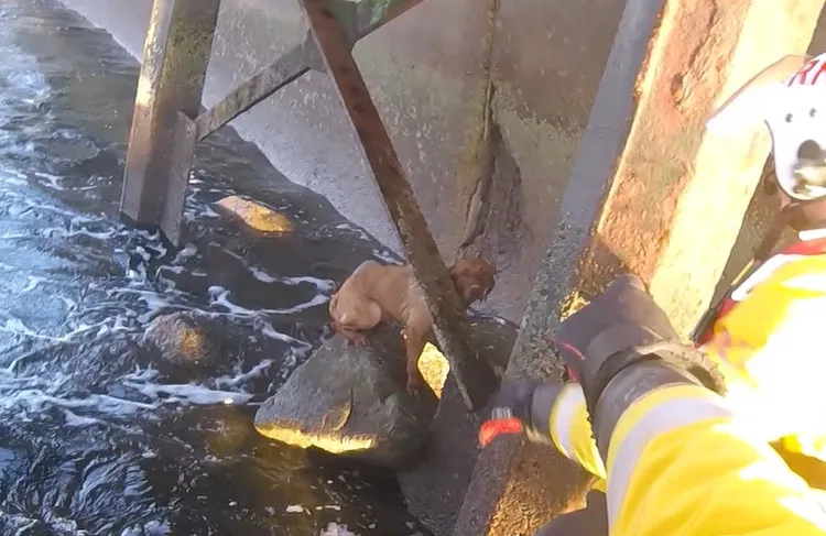 救生艇找到瑟瑟發抖的凱莉。擷取RNLI影片