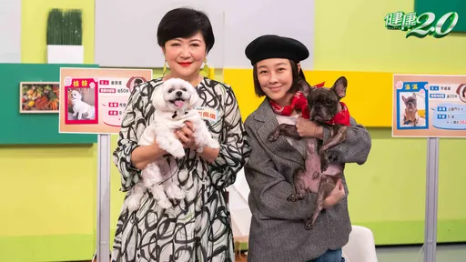 兒貝克宇拉愛犬尾巴竟被咬傷 崔佩儀險鬧離婚